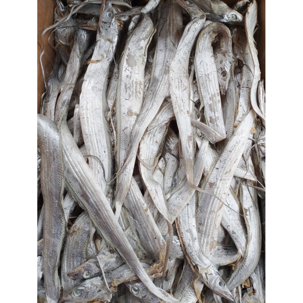 IKAN ASIN LAYUR