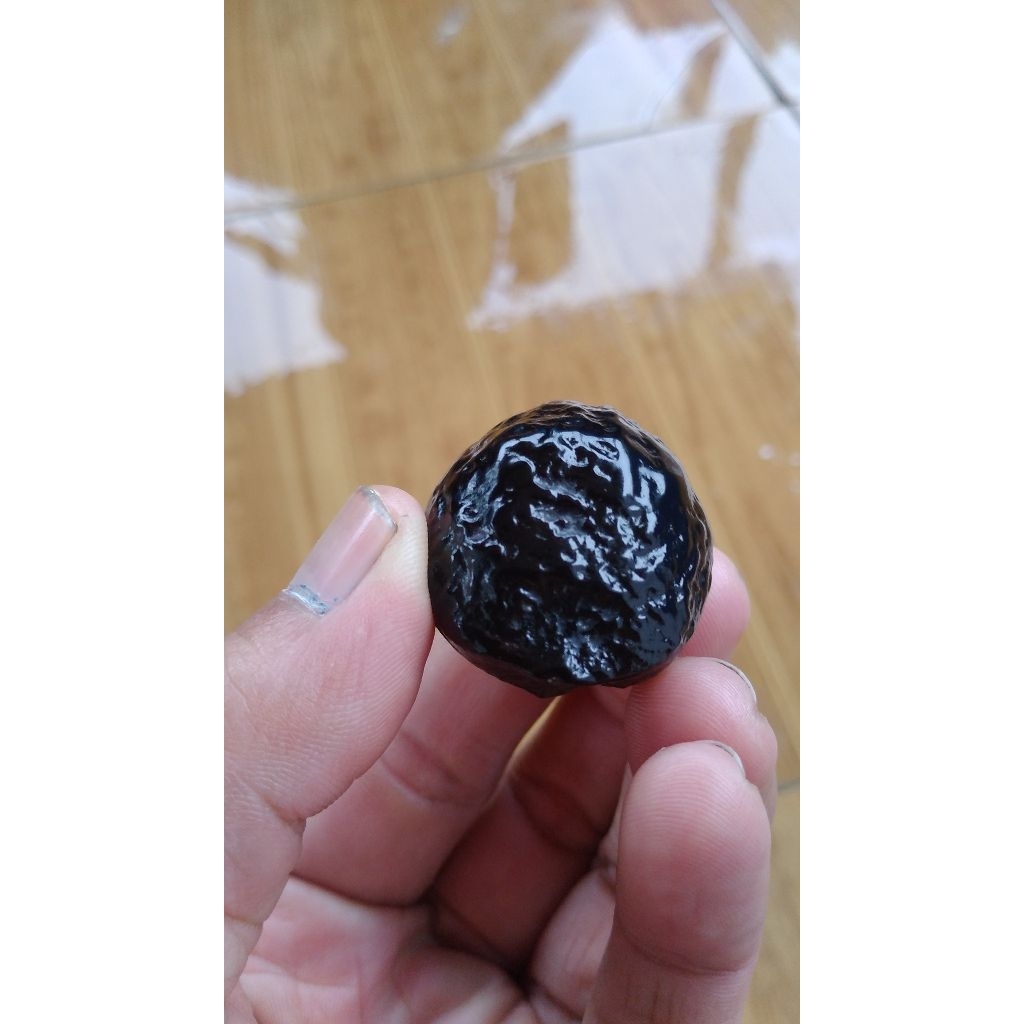 muncang adu jayanti anak pait...siap adu sudah lolos abar stok cuma 1..