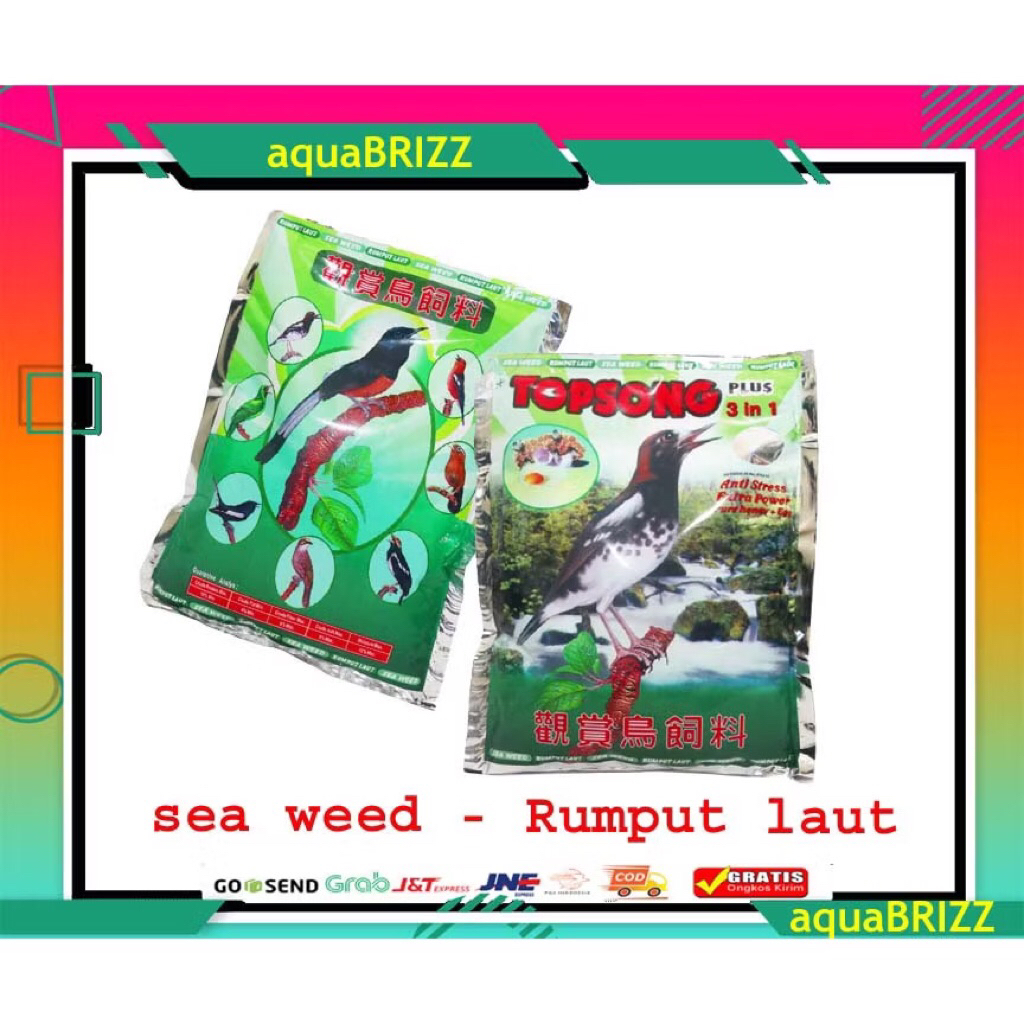 TOPSONG COKLAT PAKAN BURUNG TOPSONG 3 IN 1 VOER COKLAT TOPSONG PUR