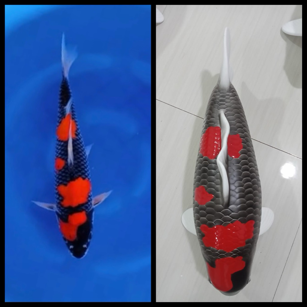 Patung Koi 70cm Miniatur Ikan Mas 70 cm