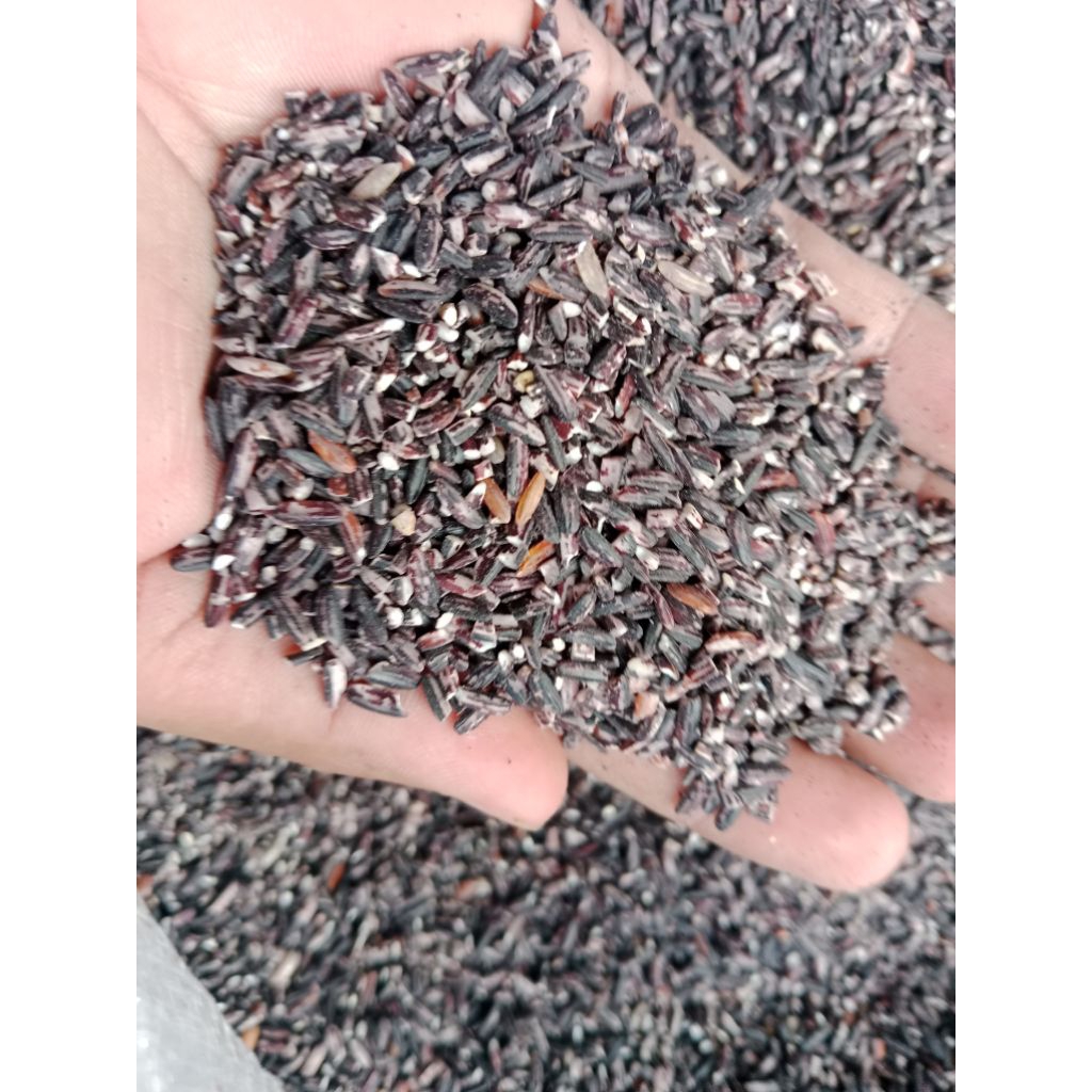 Beras ketan hitam sosoh 500gram