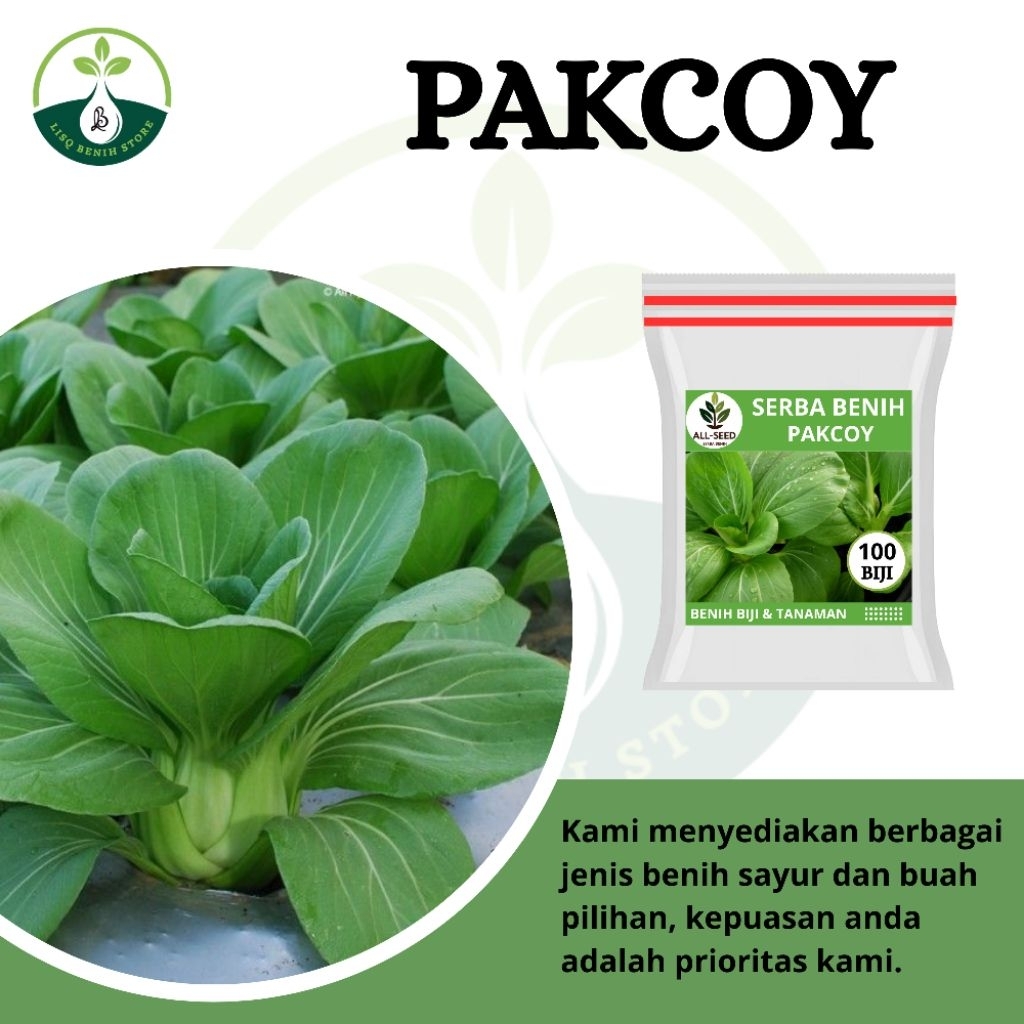 { 100 BIJI } Benih pakcoy / bibit pakcoy / pakcoy hijau / bibit tanaman sayur