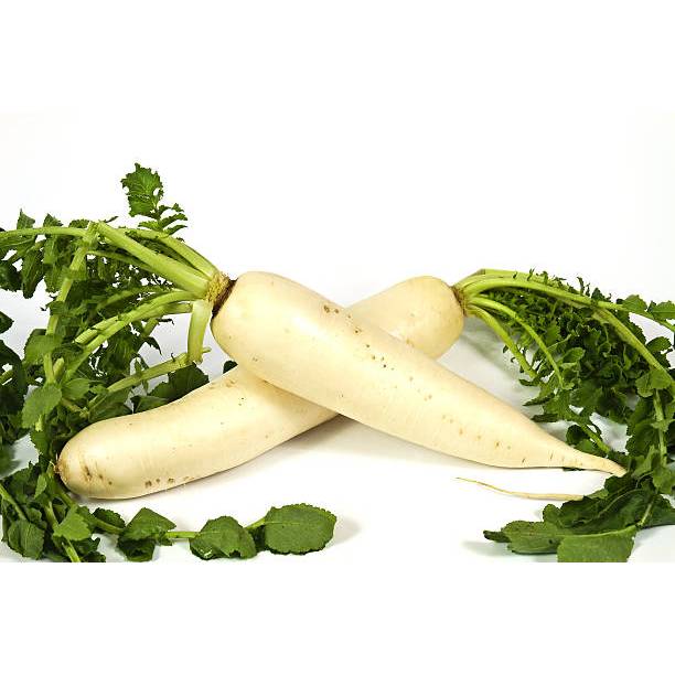 GUDANG BENIH - BENIH LOBAK PUTIH