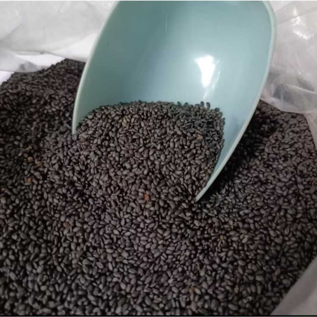 Biji selasih premium 100gr/biji selasih pilihan