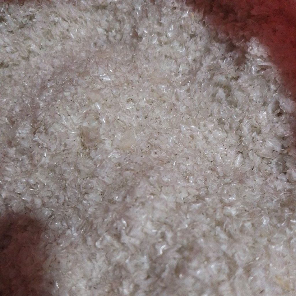 SISIK IKAN BANDENG KERING DAN BERSIH BERAT 1 KG