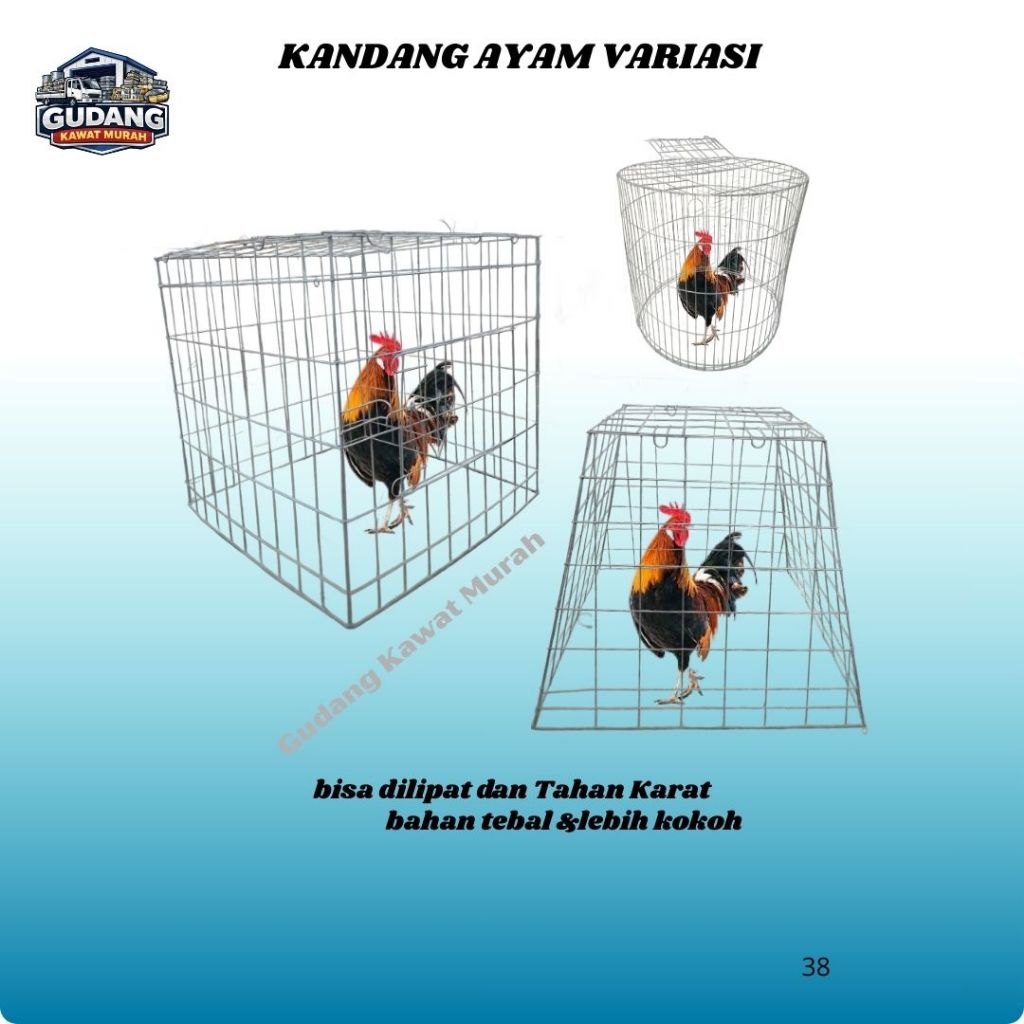 Kandang Umbaran Ayam  Murah Bahan Galvanis