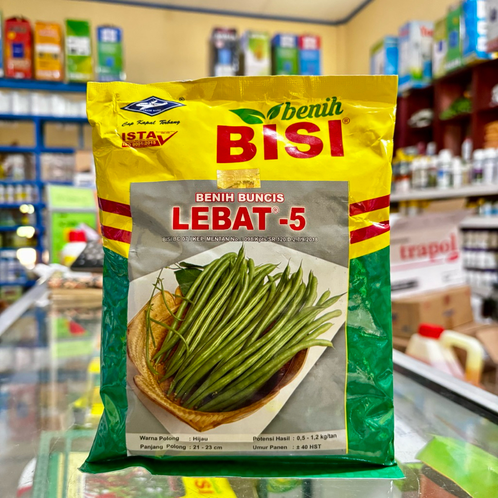Benih Buncis LEBAT 5 Kemasan 500 Gram  Cap Kapal Terbang