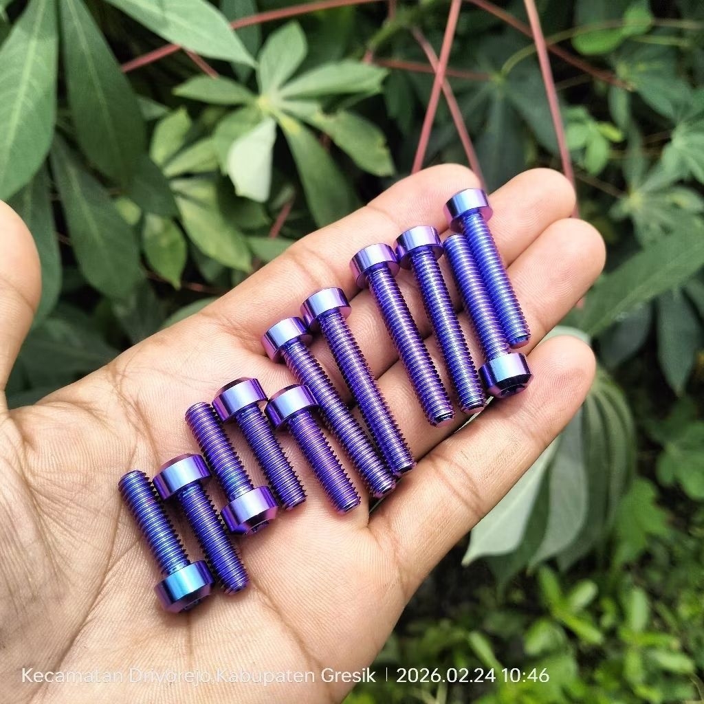 baut kop Tiger MP titanium gr5 isi 12 pics