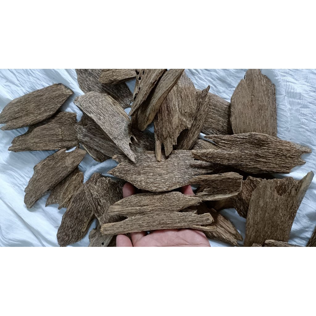 Gaharu Kaltim AB 1 kg