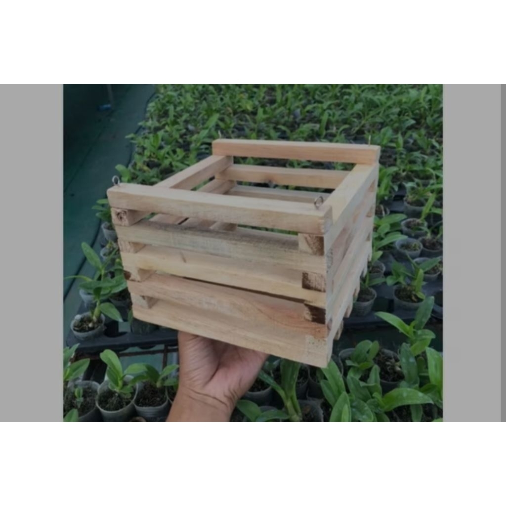 pot anggrek kayu Aesthetic