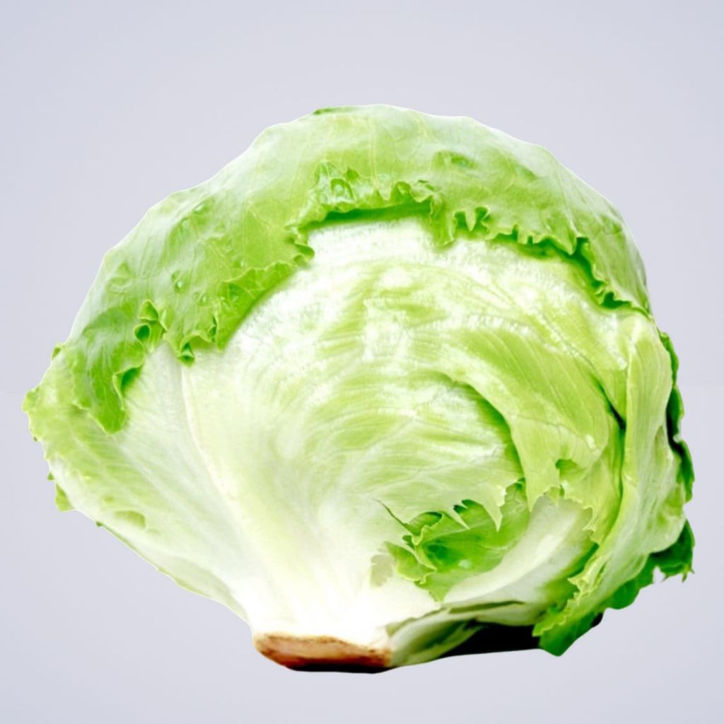 Lettuce Iceberg
