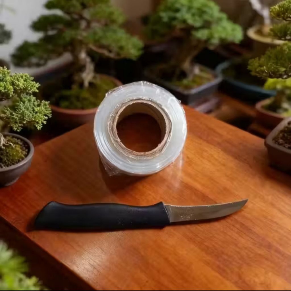 Paket Pisau Okulasi Grafting & Grafting tape 3cm cangkok Alat Berkebun Tanaman