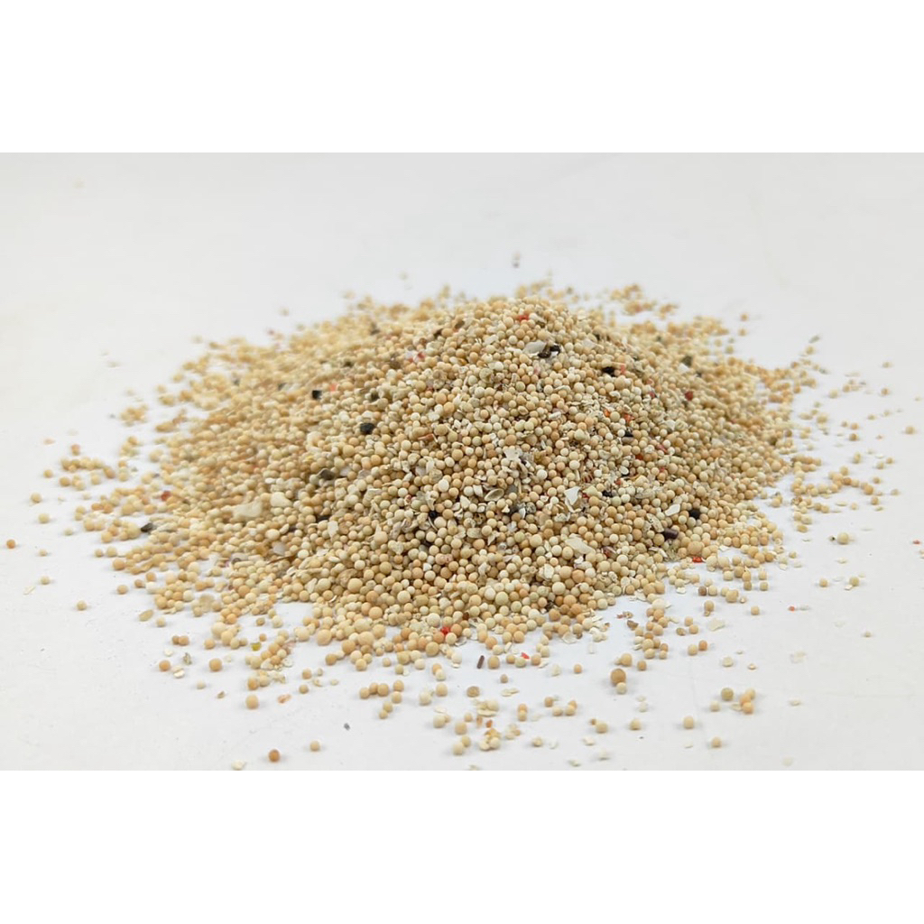 Bali Sand | Pasir Bali untuk hiasan aquarium air laut