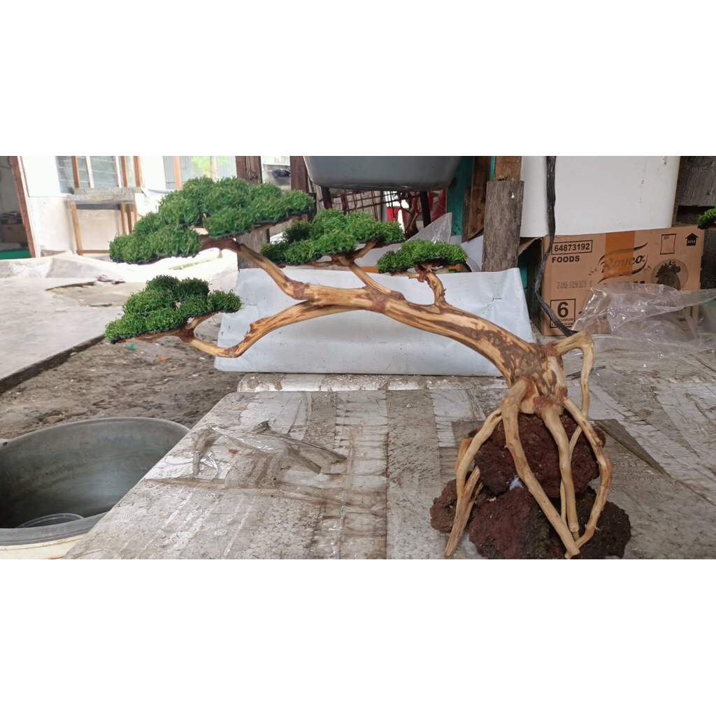 hiasan aquarium bonsai  sintetis