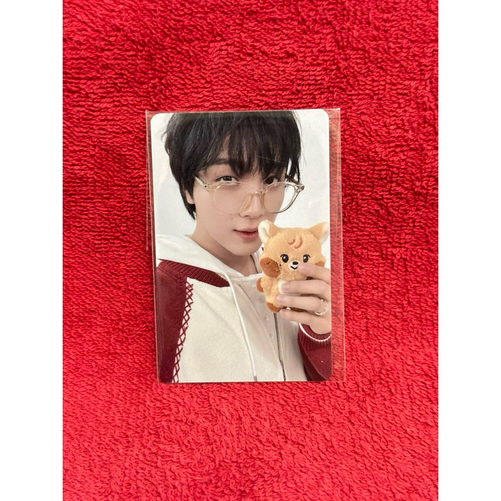 Haechan Jjopoo Photocard V1 Sealed NCT Dreamiez Doll