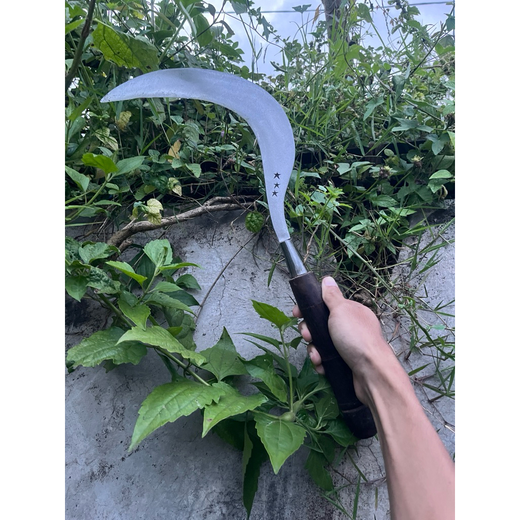 1pcs arit rumput dan arit padi dll,produk asli madura