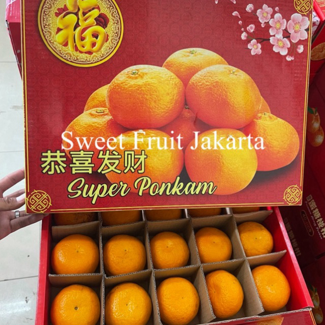Jeruk Ponkam Super Fresh Isi 20s / Jeruk Ponkam Premium