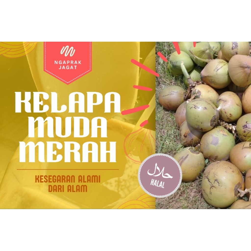 Degan Segar Alami Utuh Tanpa Kupas Ukuran Sedang