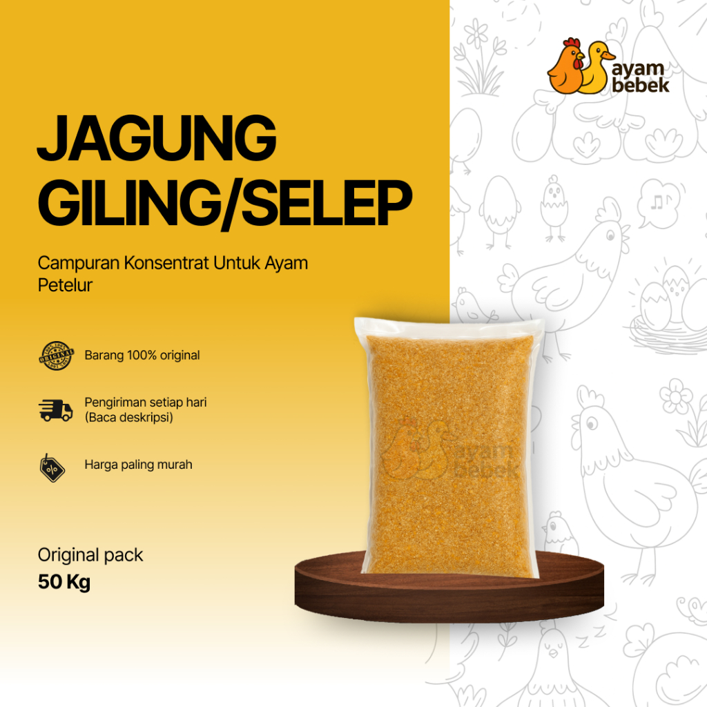 Jagung Giling atau Jagung Selep - Campuran Konsentrat Untuk Ayam Petelur | GROSIR 20KG - 50KG | Ayam