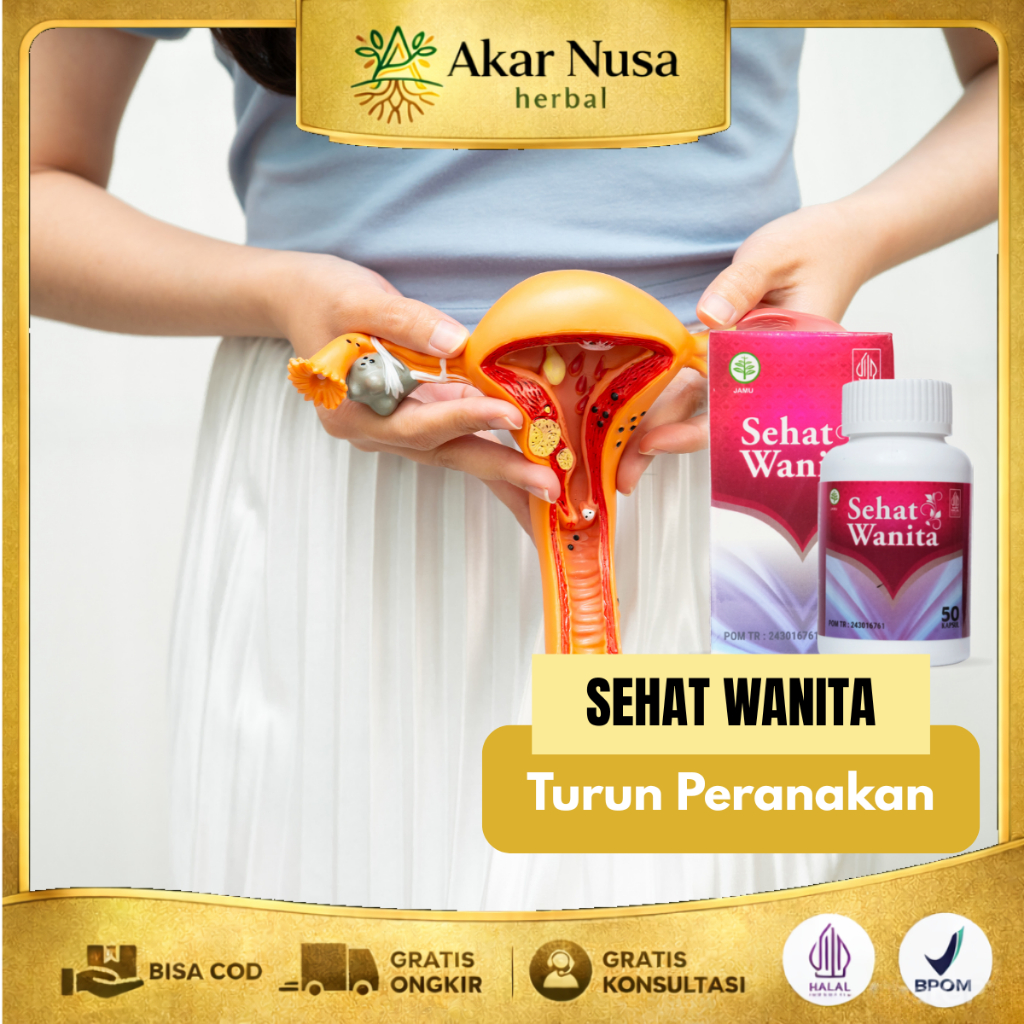 Obat Turun Peranakan Turun Rahim Rahim Menggantung Rahim Menonjol Prolaps Uteri - Sehat Wanita