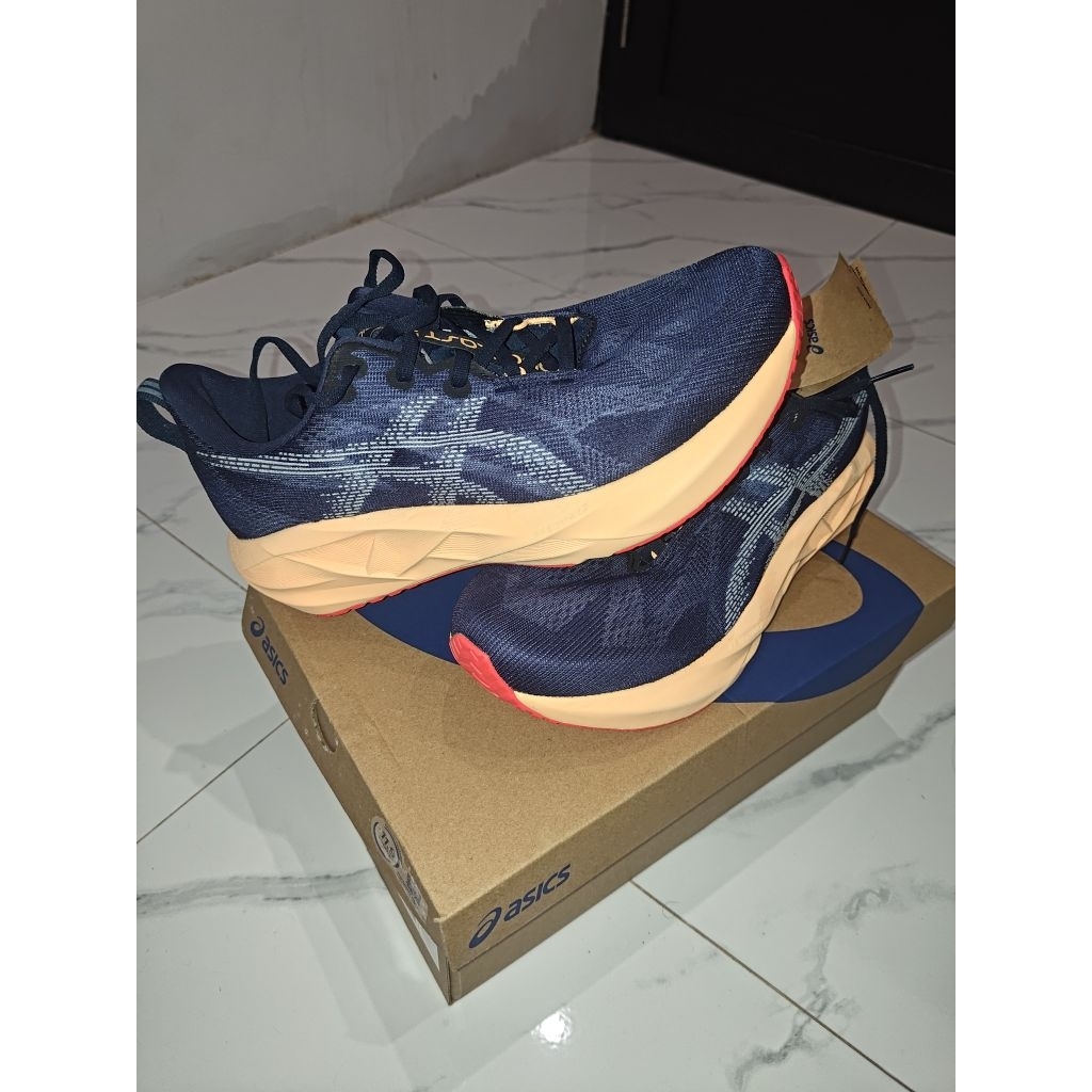 Asics Novablast 5 size 44.5
