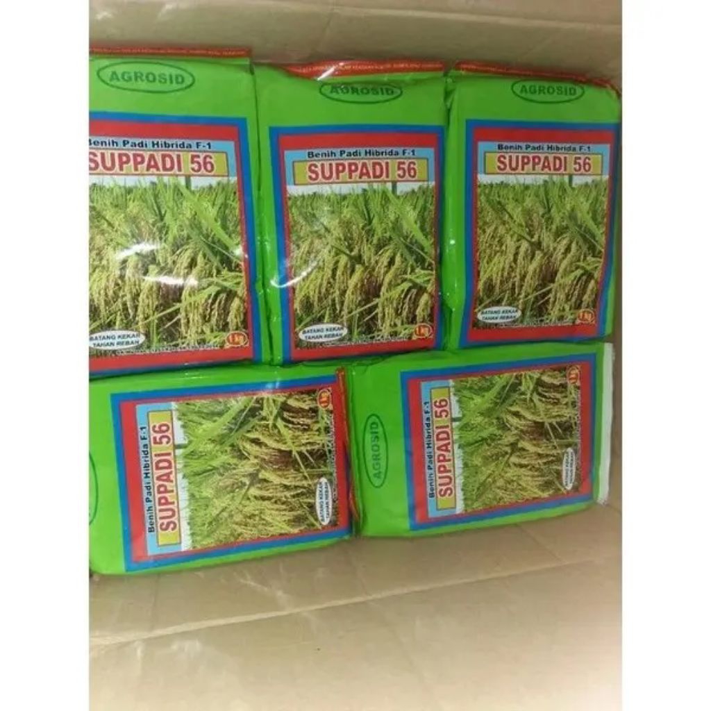 Benih Padi Hibrida Suppadi 56 1kg original berkualitas