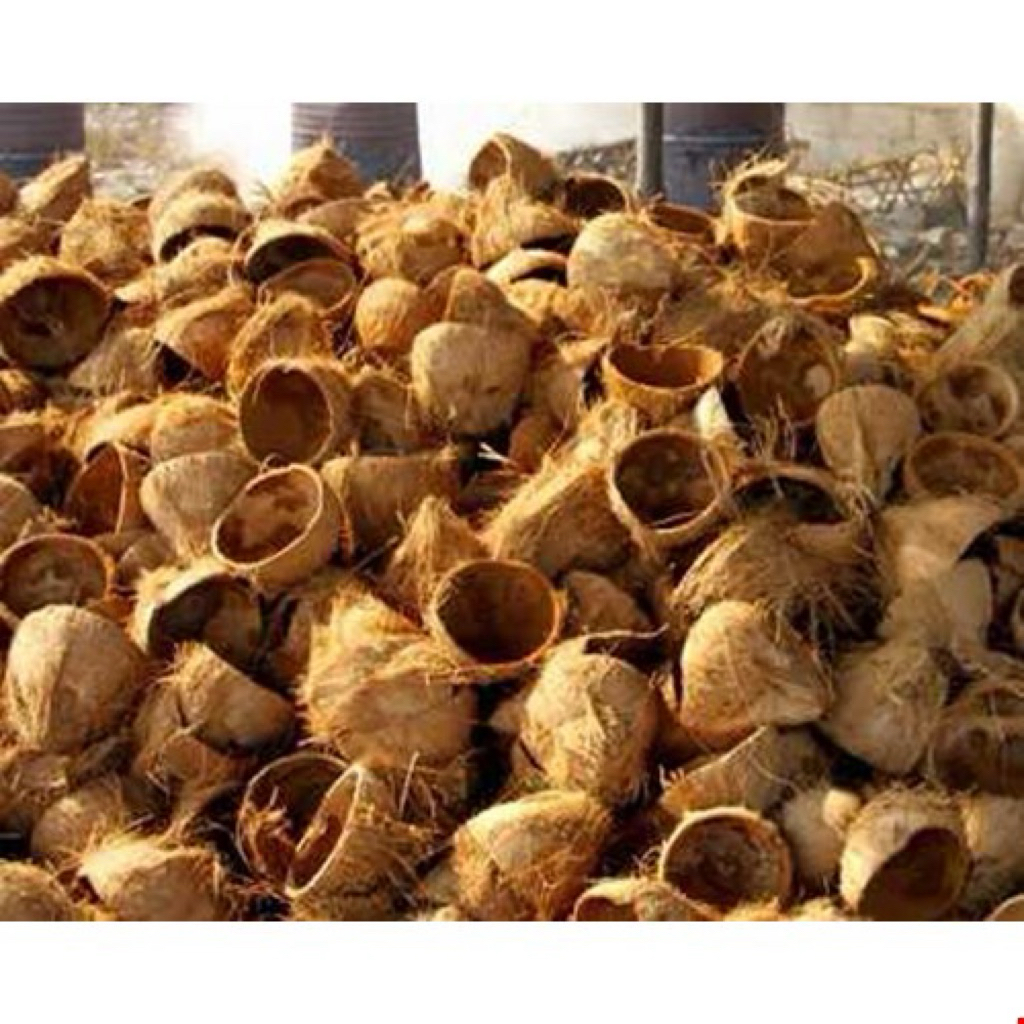 Batok kelapa kering 1kg