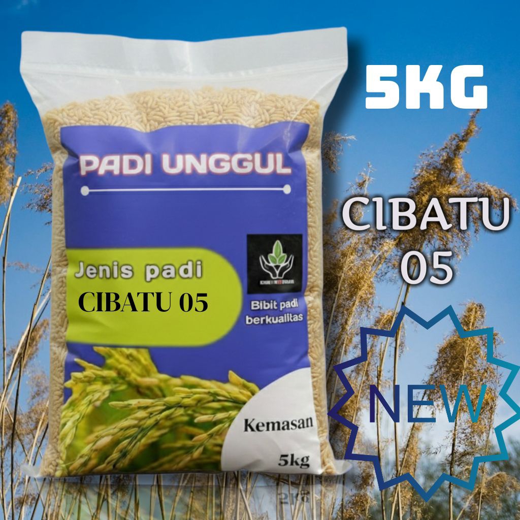 BIBIT PADI UNGGUL CIBATU 05 KUALITAS PREMIUM KEMASAN 5 KG