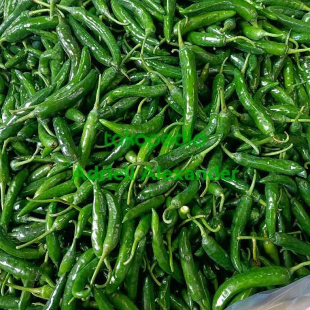 Cabai hijau besar 1kg