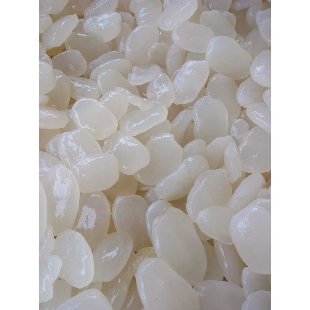 Kolang kaling /kolang kaling segar siap makan/kolang kaling