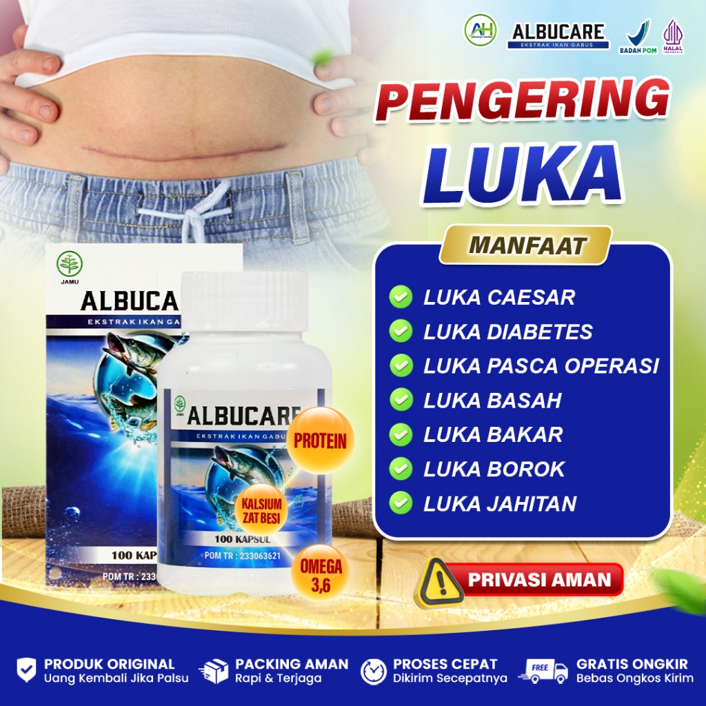 Albucare Kapsul Ikan Gabus Obat Luka Pasca Operasi Pengering Luka Caesar Luka Jahitan Luka Operasi