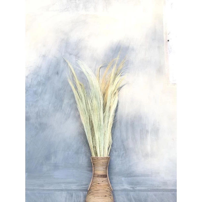 Rayung Dried Pampas Grass Lokal Tanpa Bulu Bunga Kering Dekorasi Rustic Aesthetic Dekorasi Photo Stu