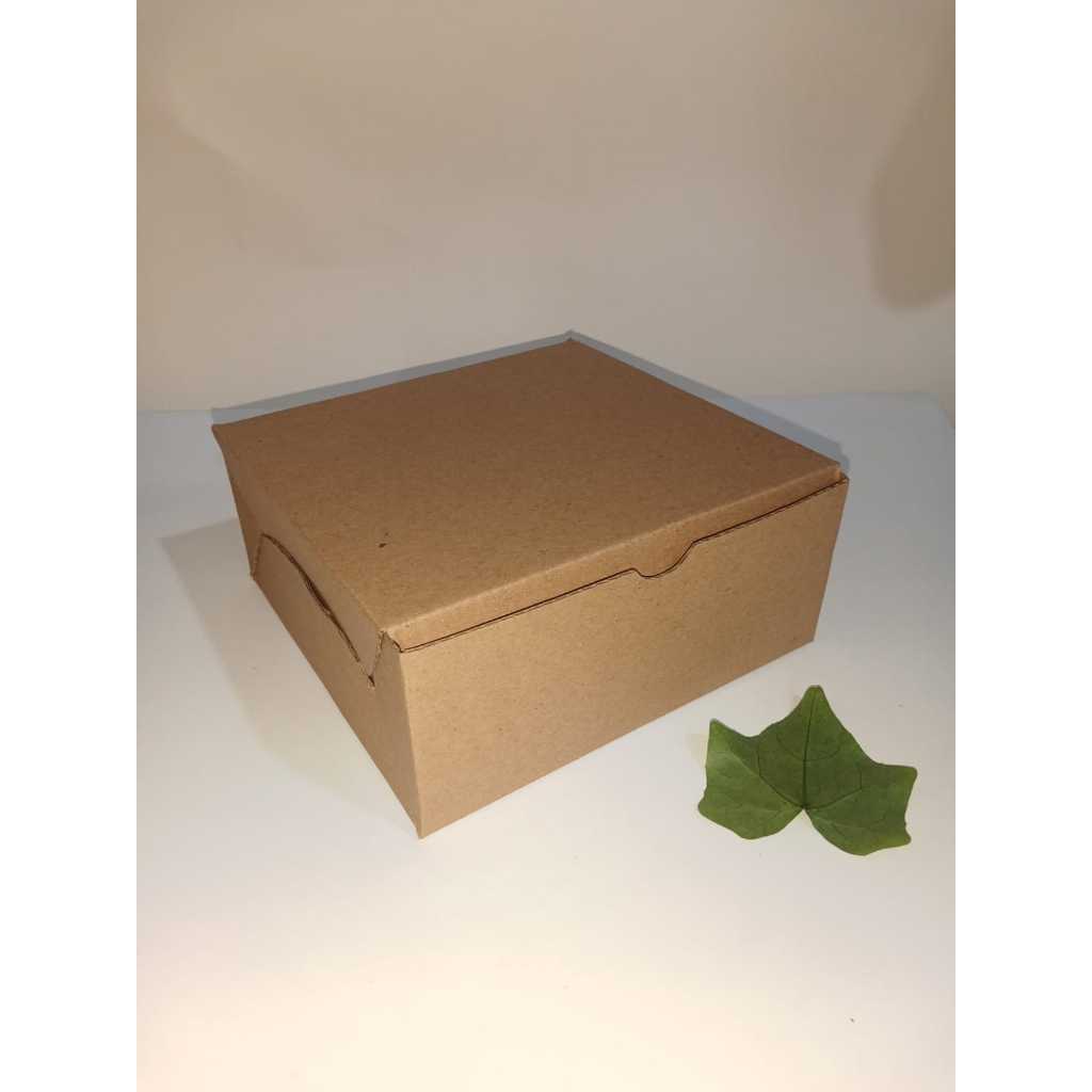 BOX KARDUS EFLUTE TEBAL KARDUS NASI KOTAK SAMBUNG isi 10 pcs