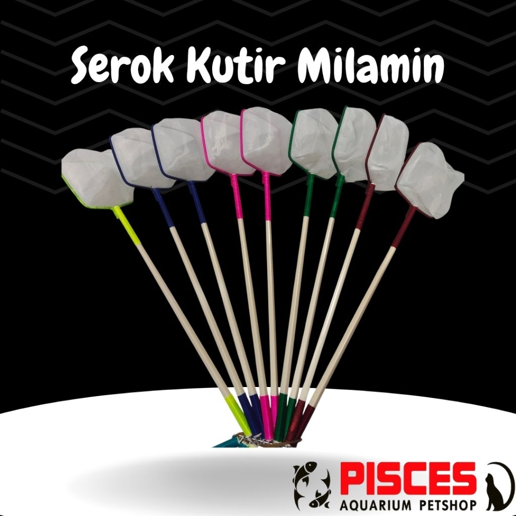 SEROK KUTIR KUTU AIR