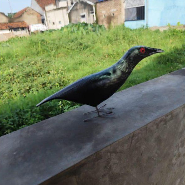 Patung boneka mainan burung cucak keling / dekoy manuk geri / alat pancing burung cak keling