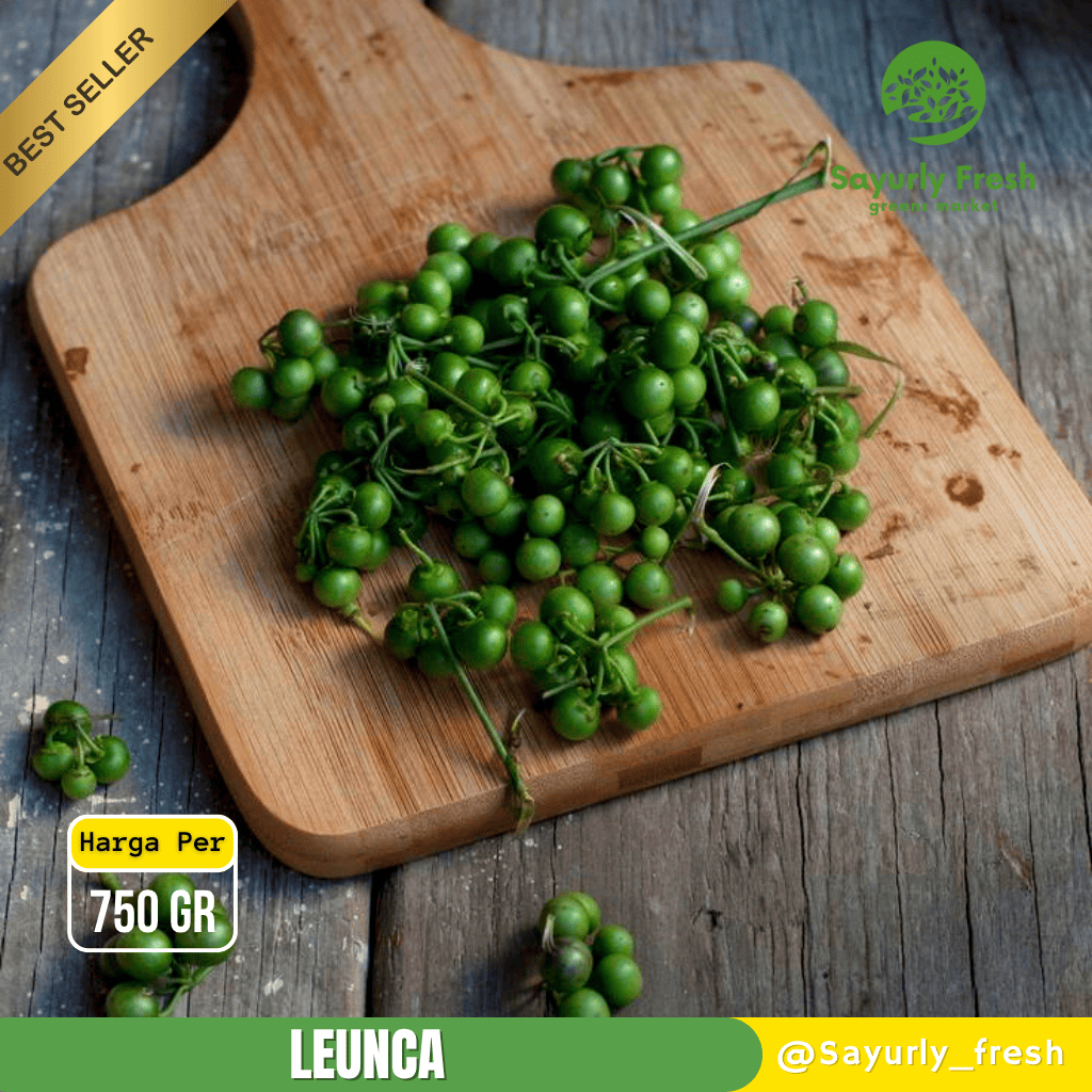 Sayurlu Fresh Sayur Leunca Segar 750 Gram / Leunca Segar
