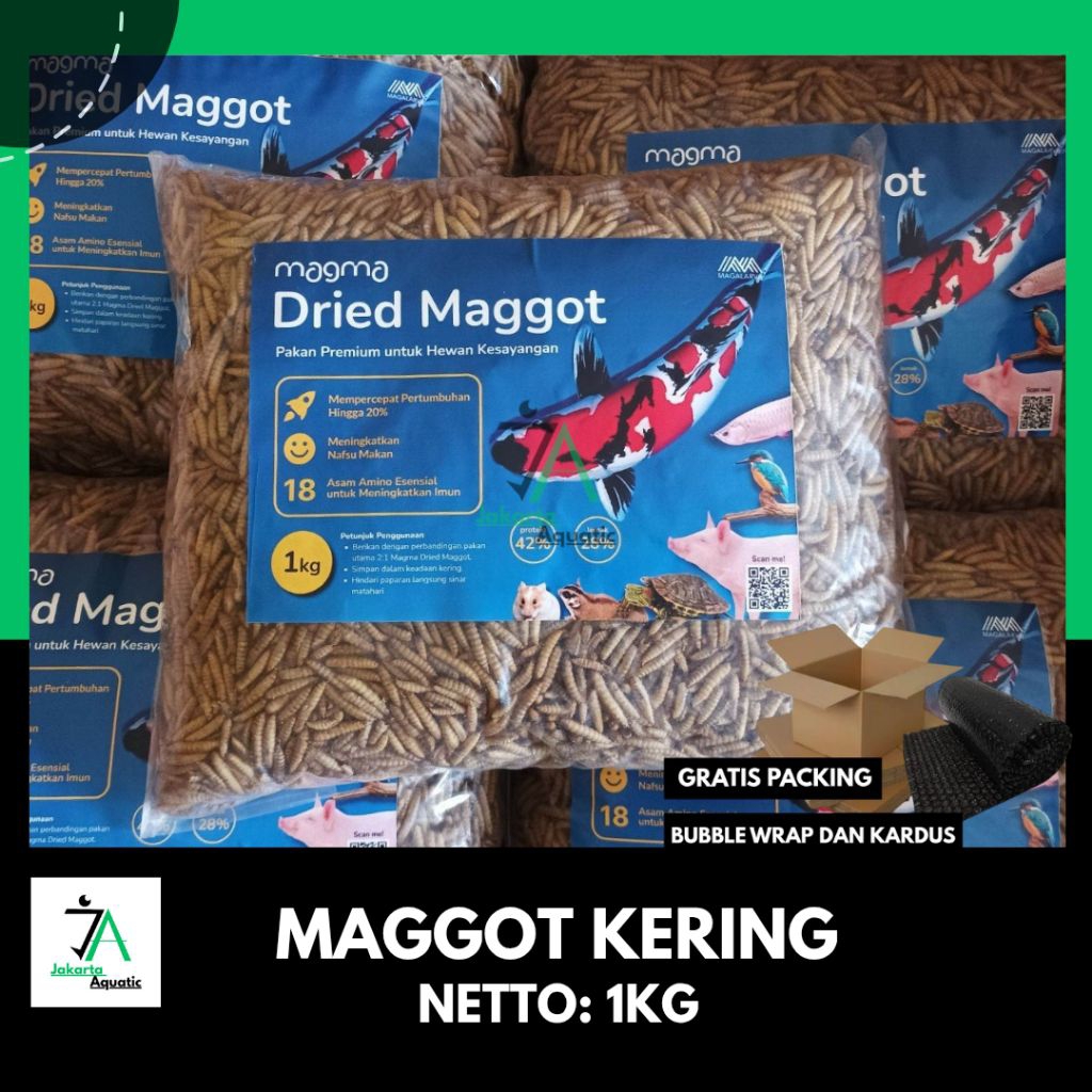 Maggot kering 1 kg/maggot 1 kg/maggot kering/maggot / pakan koi / pakan ikan predator / pakan ikan