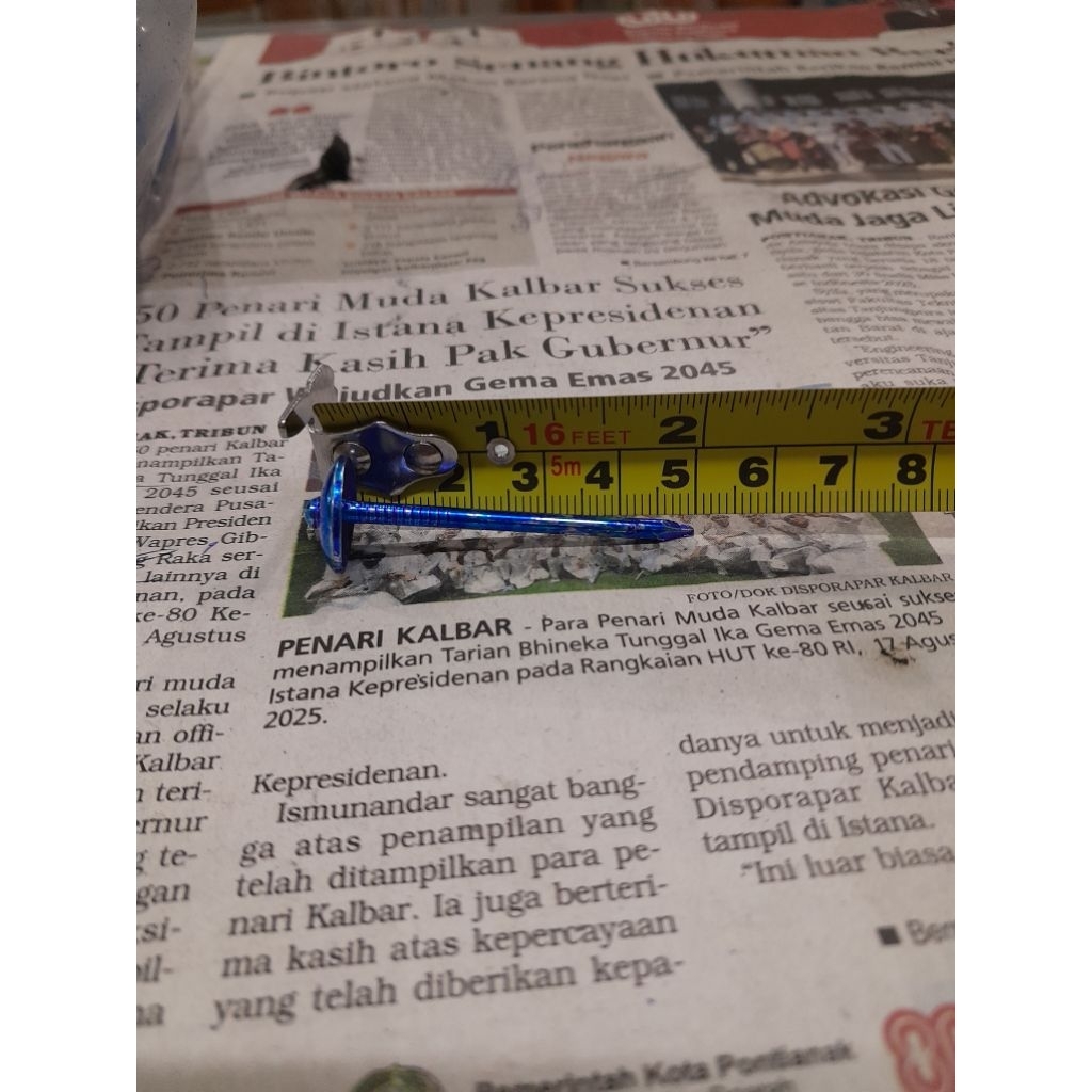 paku payung warna paku atap seng warna 5cm/2" 500gr