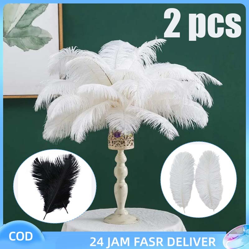 2pcs Bulu Ostrich White Ostrich Feather  Premium Bulu Burung Unta Asli Bulu Hiasan Dekorasi Bulu Ost
