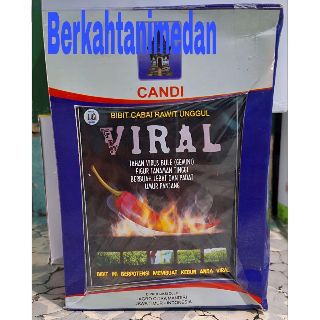 1 Kotak/25 Bungkus Benih Cabe Rawit VIRAL isi 10 gram