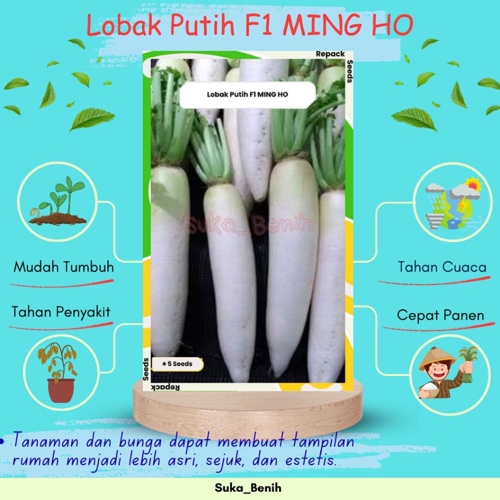 Benih/Bibit Lobak Putih F1 MING HO – Cepat Panen & Renyah | Isi 2 & 5 Biji