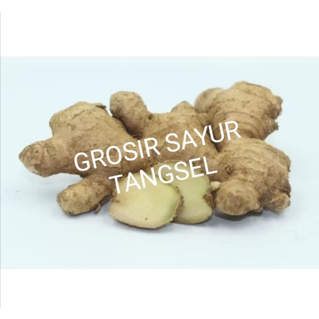 JAHE 1KG // JAHE  GAJAH SEGAR 1KG