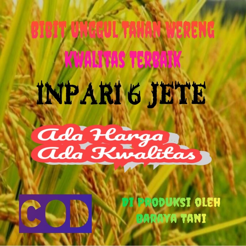 BIBIT PADI VARIETAS INPARI 6 JETE KEMASAN 1KG