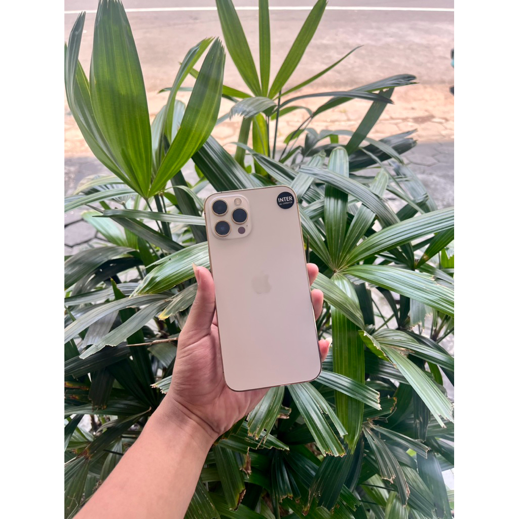 ip 12promax 256 inter alloperator