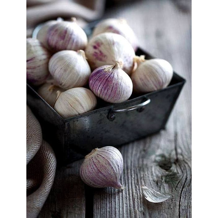 Bawang lanang / BAWANG TUNGGAL 1kg kualitas SUPER harga murah terjangkau ukuran kecil besar