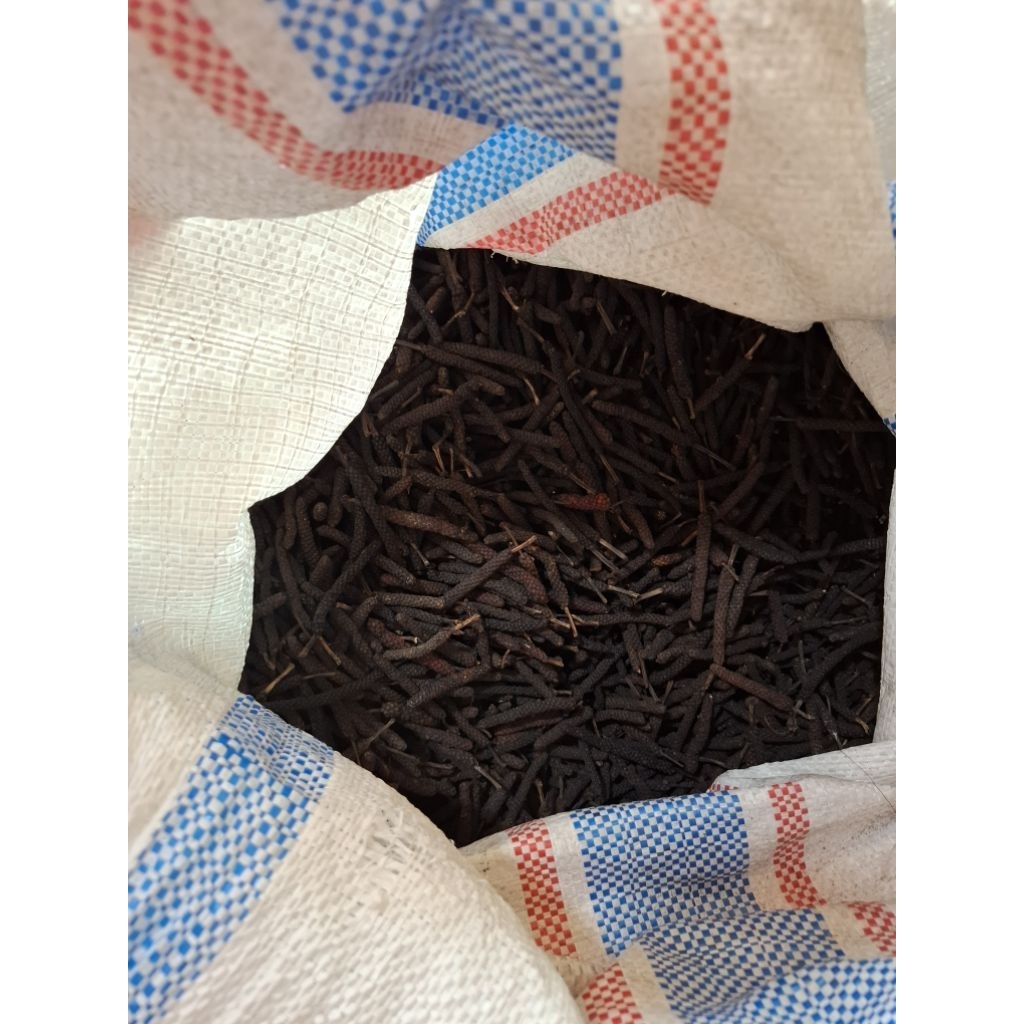 Cabe jamu cabai jamu jawa 1 kg hasil budidaya sendiri organik bisa COD bayar ditempat