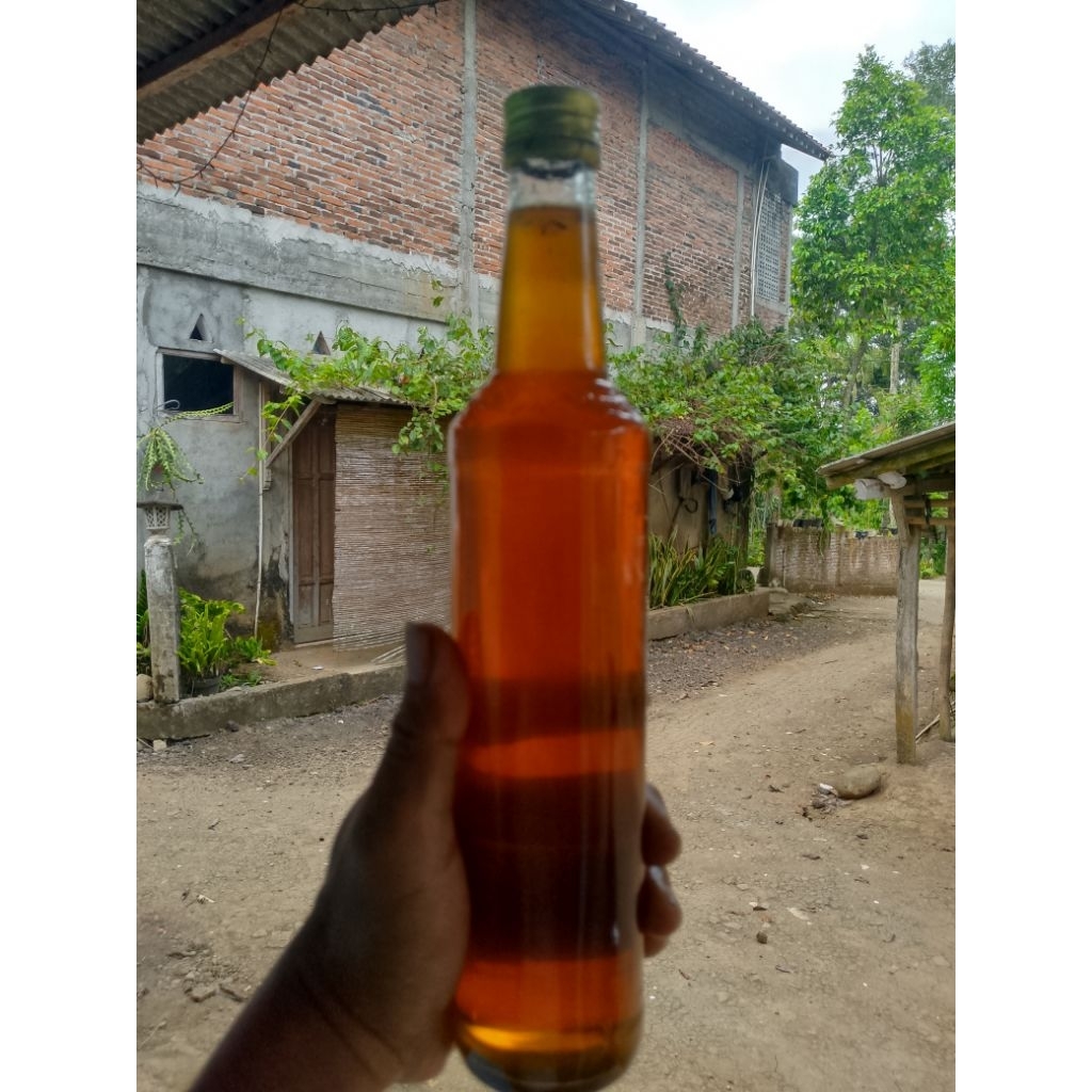 madu Tawon Gung Asli Hutan