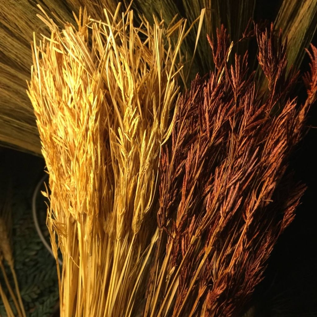 bunga kering rumput teki ilalang rustic, dekorasi rumah murah