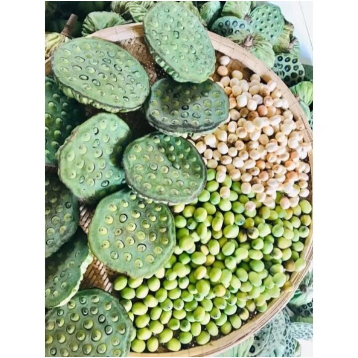 Biji Lotus Segar Pilihan | Biji Teratai Muda Fresh Grade A Siap Masak