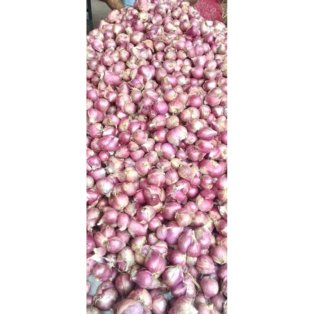 bawang bima super kering merah merona 1kg